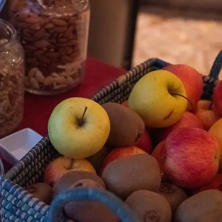 Hotel Dado International