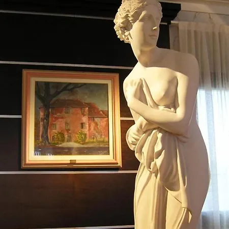 Dado International 4*