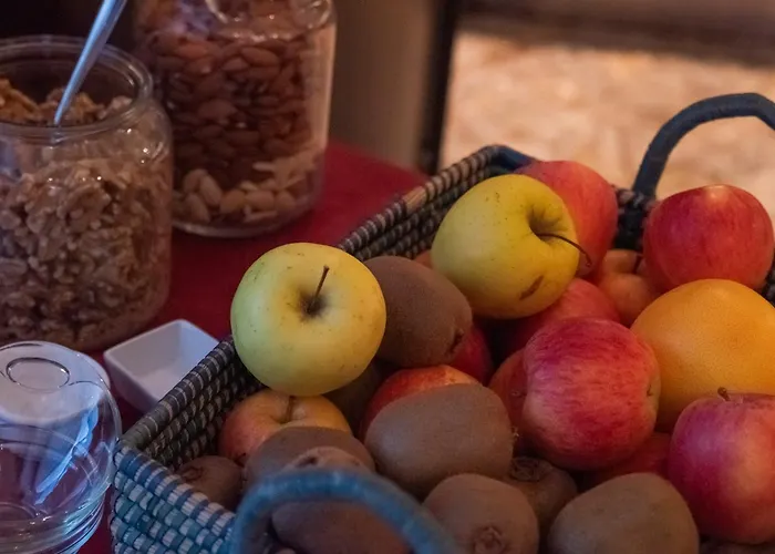 Hotel Dado International