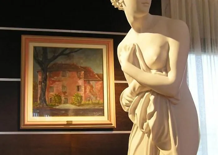 Dado International 4*